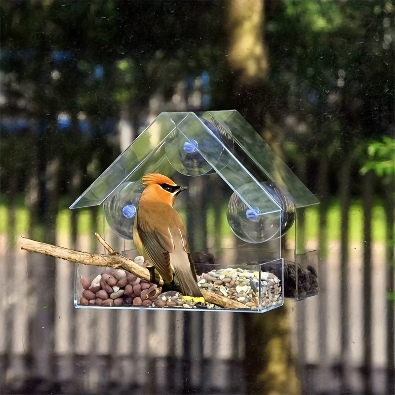 Vorschaubild 6