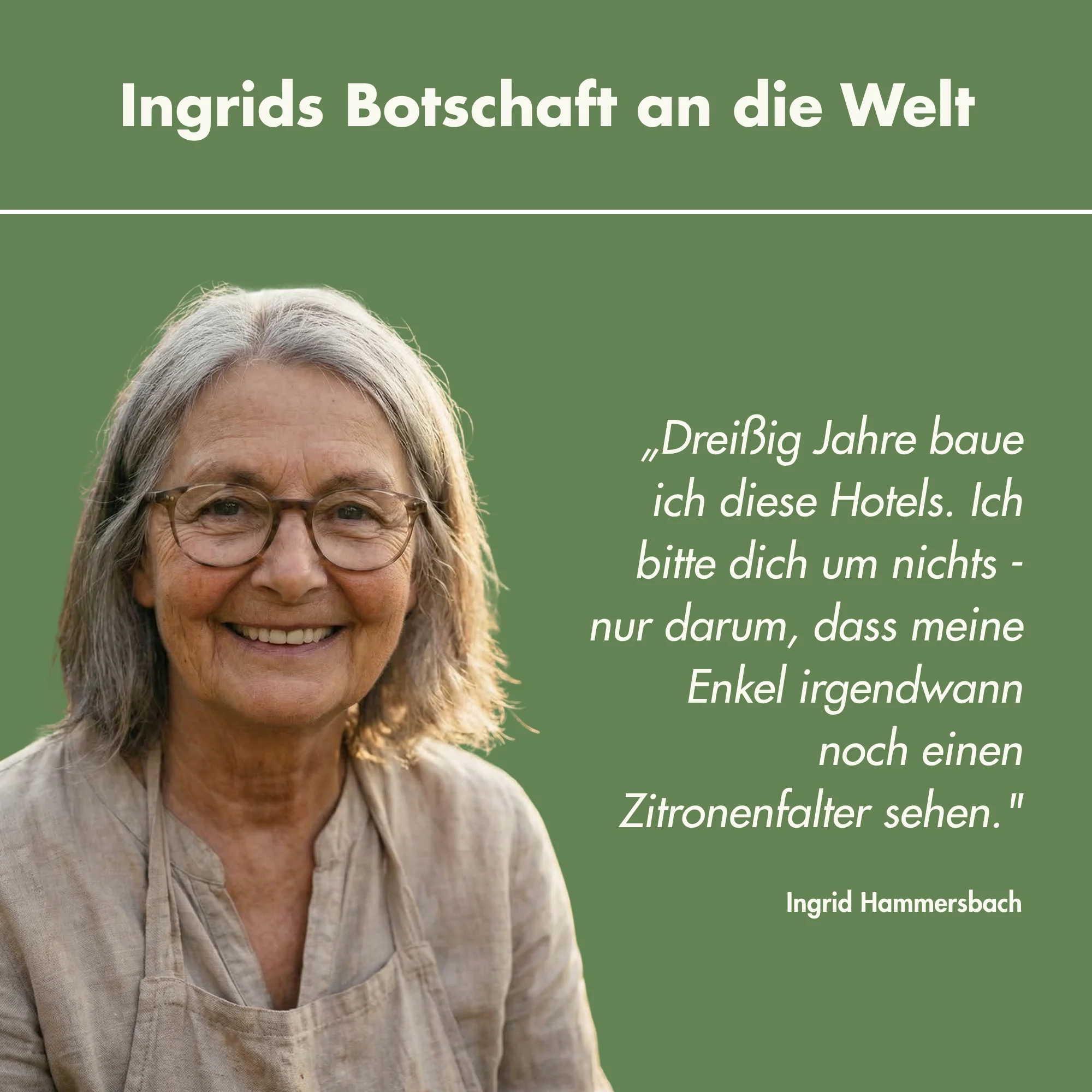 Vorschaubild 7
