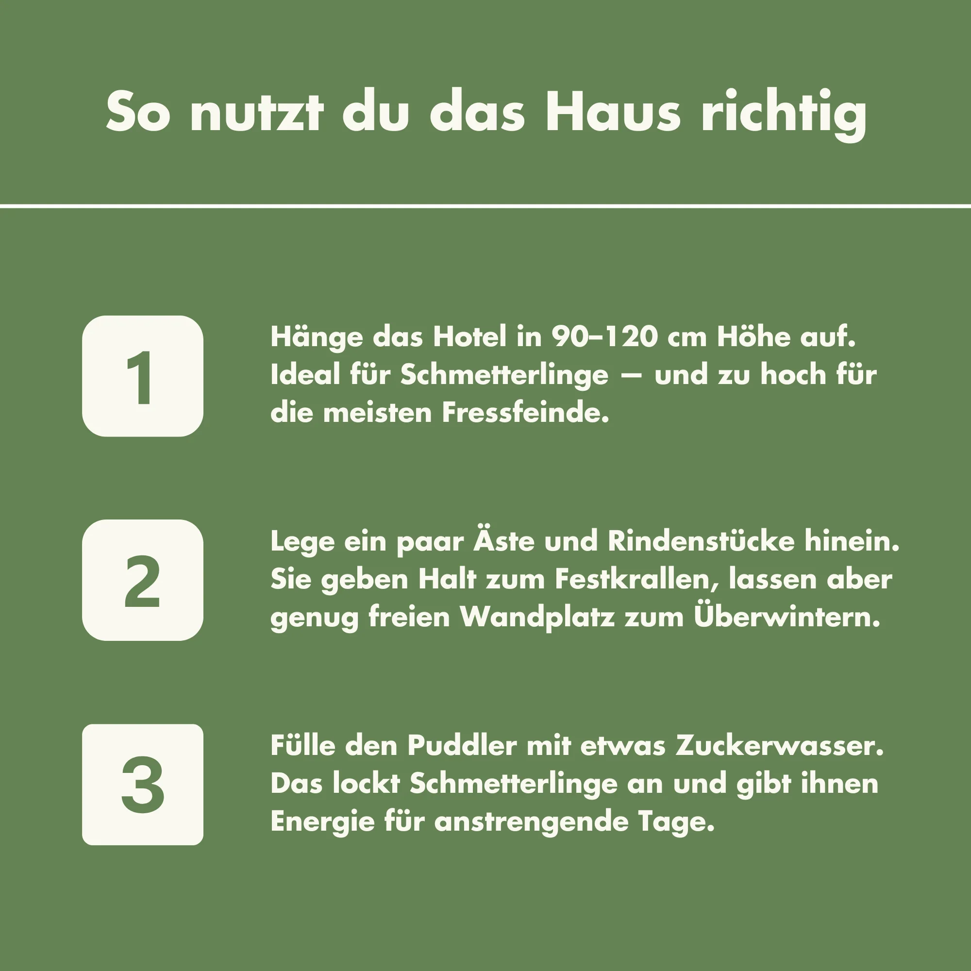 Vorschaubild 8