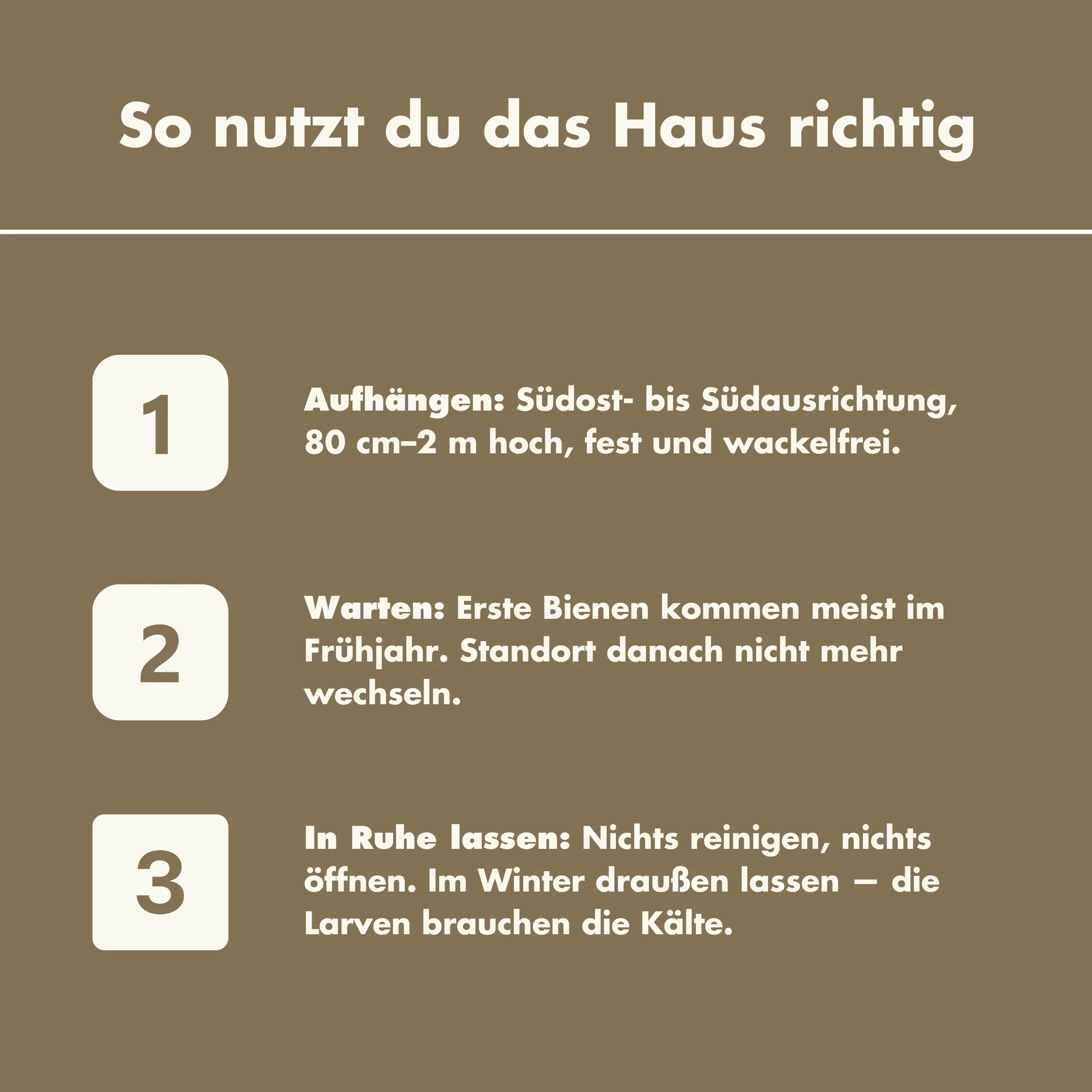 Vorschaubild 7